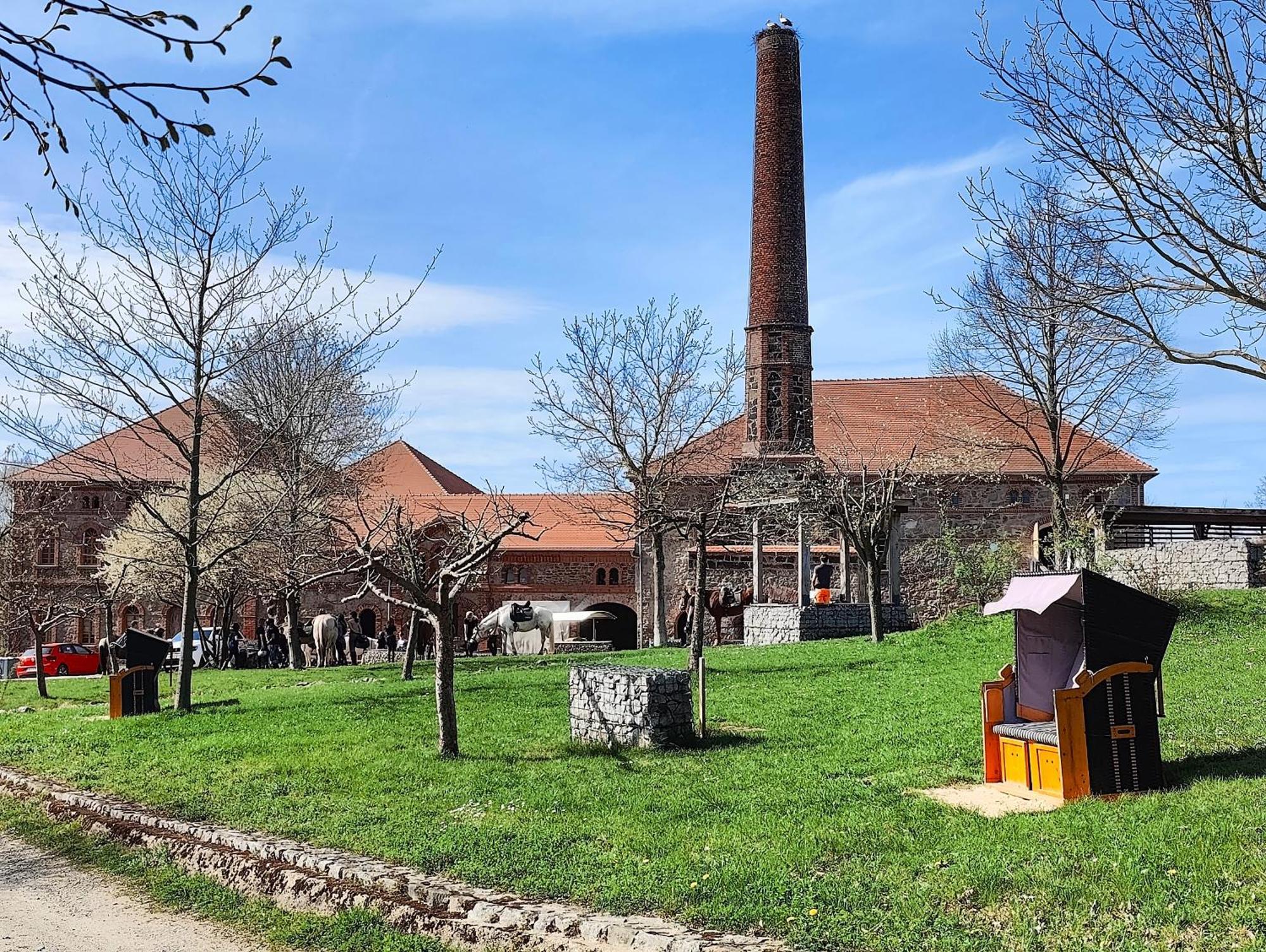 Tinyhousebeidresden 1 - Direkt Am Naturteich - Naehe Saechsische Schweiz, Dresden Großharthau エクステリア 写真